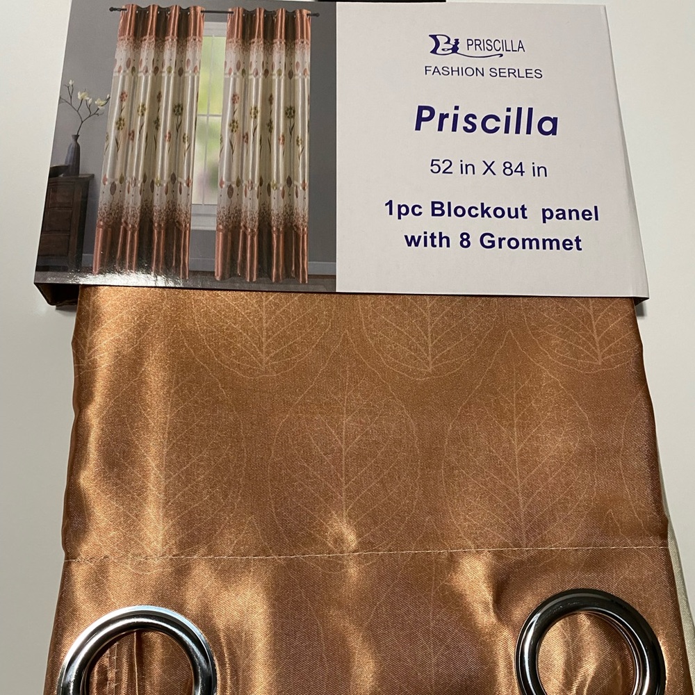 Priscilla fashion serles panel